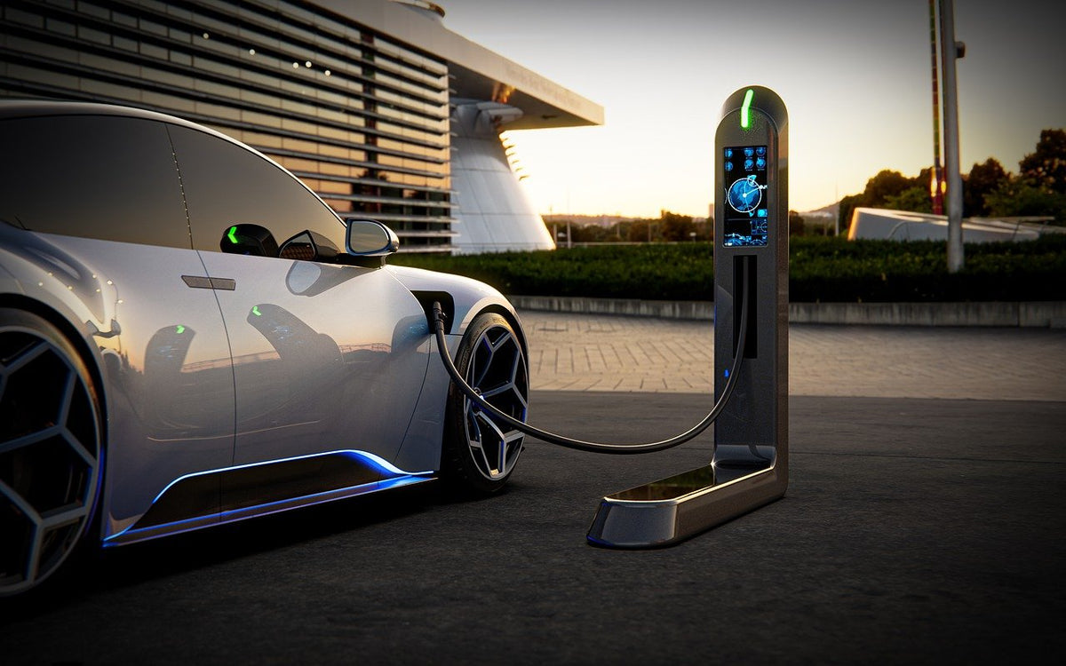 Marderschaden – Marderbiss im E- Auto einfach vermeiden 2025 - IREPELL