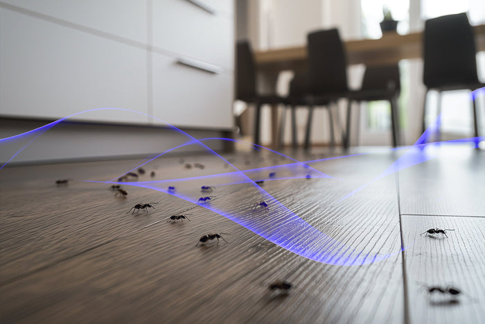 Ameisengift - Ultraschall als chemiefreie Alternative