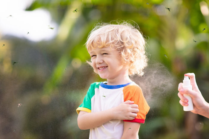 Gelsenspray – diese Alternativen sollten Sie kennen