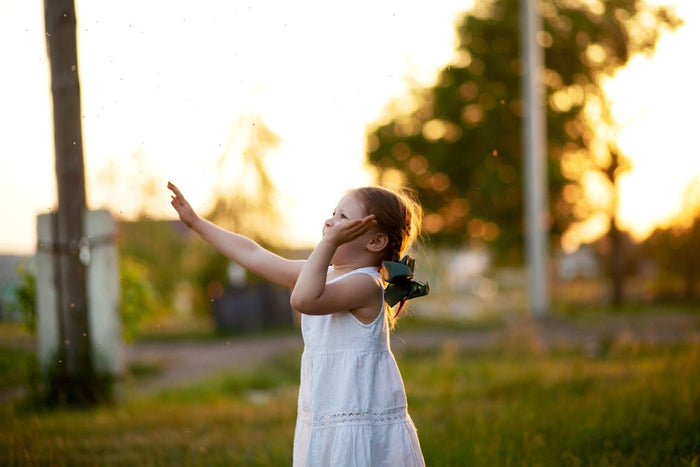 Hausmittel gegen Mücken und Gelsen
