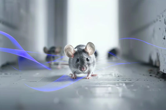 Ultraschall gegen Mäuse mit IREPELL aus Österreich
